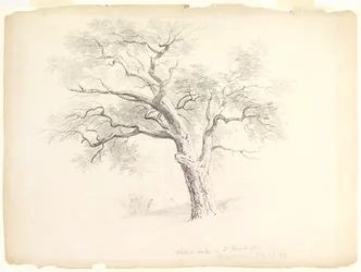 The Chestnut Oak på Hosack Estate, Hyde Park, New York med fem figurer og en kunstnerskitser, 1838 (grafit på papir)