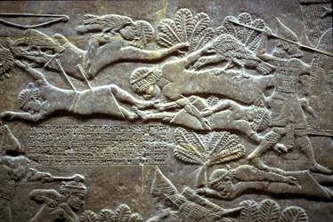 Ashurbanipal ved slaget ved Til-Tuba, 650-620 f.Kr