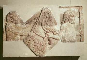 Fragment af et relief, der forestiller medianbifloder