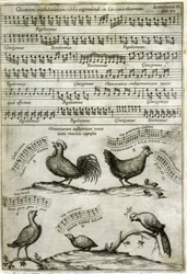 Sangen udsendt af visse flygtige stoffer udtrykt ved musikalske noder efter: "Musurgia Universalis" af Athanasius Kircher