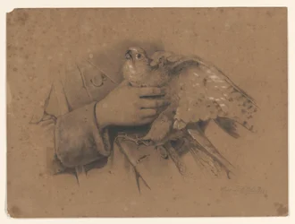 Kestrel fanget i hænderne