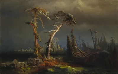 Stigende storme - døende urskov i storme (olie på lærred)