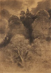 træ undersøgelse
