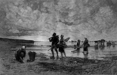 Stor hoppe i Kanalen (1800-tallet): fiskere af skaller på en strand. Indgravering efter maleriet af Hagborg Auguste Wilhem Nikolaus (1852-1921/1925) i "Den illustere verden" nr. 1219 af 7. august