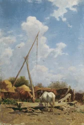 Ungarsk hestetrug