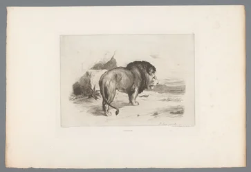 Løve Un vieux lion (titel på objekt) Franske raderinger fra 1874 (serietitel) L