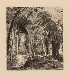 Auguste Lepère: Underskov, ved La Rigonette (Vendèe)