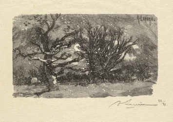 Fontainebleau Skov: Au dormoir de Lantara (La Forêt de Fontainebleau: Au dormoir de Lantara)