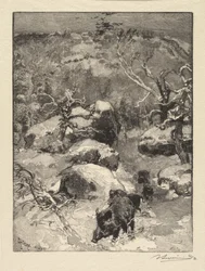 Fontainebleau Skov: Cuvier-Châtillon Cliff