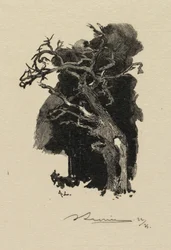 Fontainebleau Forest: The Raging One The Forest of Fontainebleau: The Raging One, 1890.