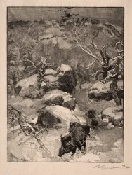 Roche Cuvier Chatillon, 1887.