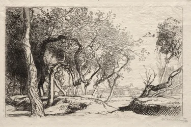 Det snoede træ, 1915.