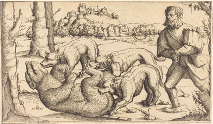 Bjørnejagt, 1545.