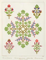 Tapet med rosenmotiv, trykt af M. und N. Hanhart