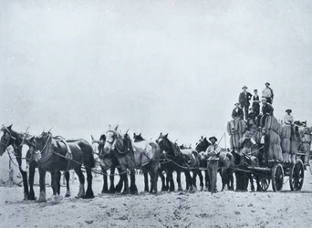 Uldbærende hold, Western Australia, ca. 1900, fra `Under the Southern Cross - Glimpses of Australia