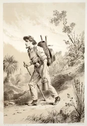 Digger on the Tramp, fra The History of Australasia af David Blair, McGrady, Thomson og Niven, 1879