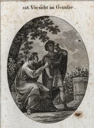 Allegori om forsigtighed, mens du nyder. En filosof advarer os om, at vinstokken frembringer tre slags druer: fornøjelsens druer, drukkenskabens og fordybelsens og galskabens. Gravering i "" Iconologie oder Ideen aus dem Gebiete der Leidenschaften und All