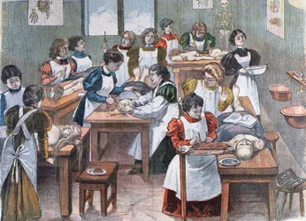 Kvindelige studerende på et Anatomy Institute i New York, 1897