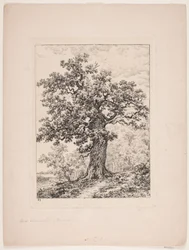 Niels Ebbesens eg. Gyllingnæs skov
