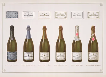 Typer af champagne og mousserende vin