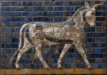 Hellig tyr - relieffer af emaljerede mursten fra Ishtarporten - Babylon - 604-562 f.Kr. - Nebukadnezars periode - Arkæologisk Museum Istanbul - En tyr, detalje fra glaserede mursten med mytologiske dyr, der prydede Processionsvejen til Ishtarporten