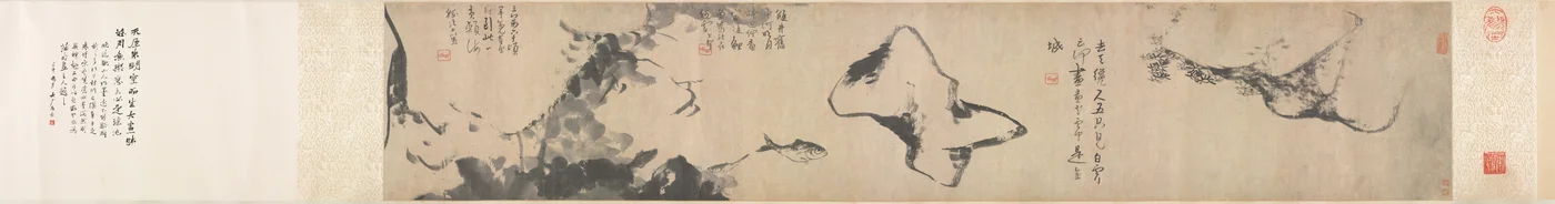 Fisk og sten