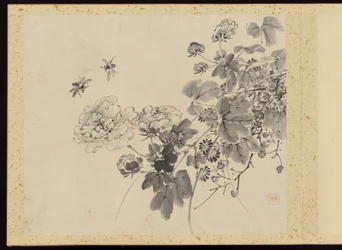 "Raffineret elegance i de fire årstider" (Shiji seiga), Album med blomstermalerier