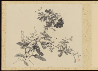 "Raffineret elegance i de fire årstider" (Shiji seiga), Album med blomstermalerier