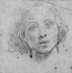 Hoved af en ung mand