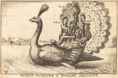 Evrytus Echione fra Argonauten Etalides