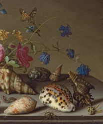Blomster, skaller og insekter på en stenkant