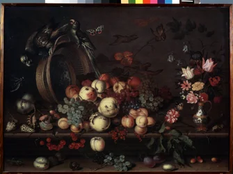 "Stilleben med frugter, blomster og papegøjer" (også kaldet "Stilleben med frugter, skaller og insekter") Maleri af Balthasar van der Ast (1593/4-1657 ) omkring 1620 Dim. 75x104 cm Ermi Museum