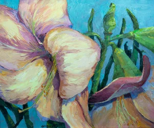 Amaryllis 2, ca. 1990-2000 (olie på lærred)