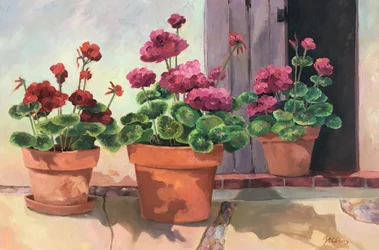 Geranium Series 2, ca. 1990-2005 (olie på lærred)