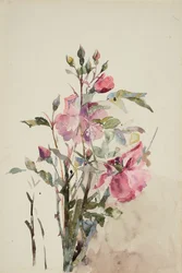 Lyserøde blomsterstængler (akvarel på papir)
