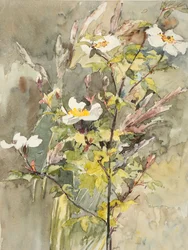 Vilde blomster (akvarel og grafit på vævet papir)