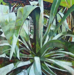 Frodig grøn agave