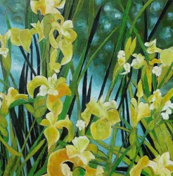 Levende gule iris
