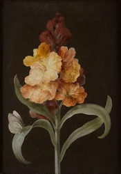 Sæt med fire stilleben med sommerfugle (gouache på papir lagt på panel)