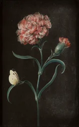 Sæt med fire stilleben med sommerfugle (gouache på papir lagt på panel)
