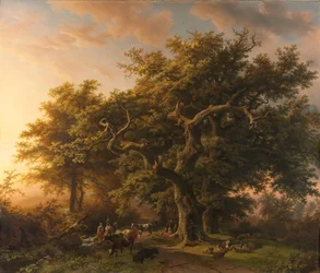 Skovscene