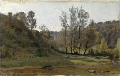 Bæk i engen