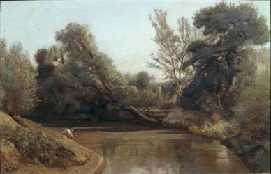 Floden
