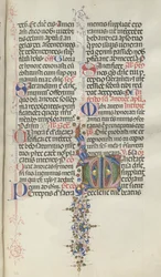 Missale: Fol. 260: Løv med frugt, 1469