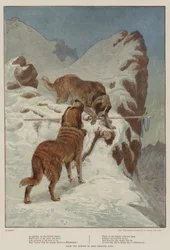 En rejsende, af den trofaste hund (chromolitho)