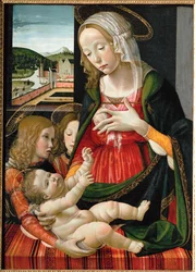 Madonna ammer Jesusbarnet, omgivet af engle ... (maleri på træ)