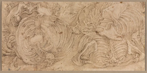 Ribbure, begyndelsen af 1540