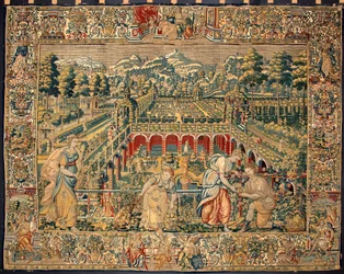 Scene med frugthøst. Billedtæppe af manufakturerne i Bruxelles. Det 16. århundrede Genes, Musei di Strada Nuova