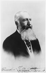 Portræt af Leopold 2. (1835-1909), Belgiens konge
