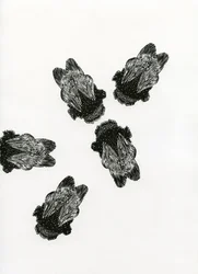 Humlebiernes møde, 2013 (trægravering på papir)